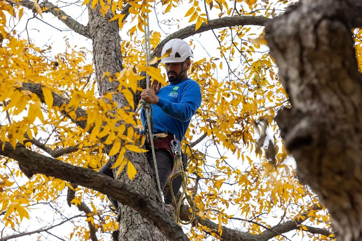 Skilled Storm Damage Cleanup crew working in Blocksburg