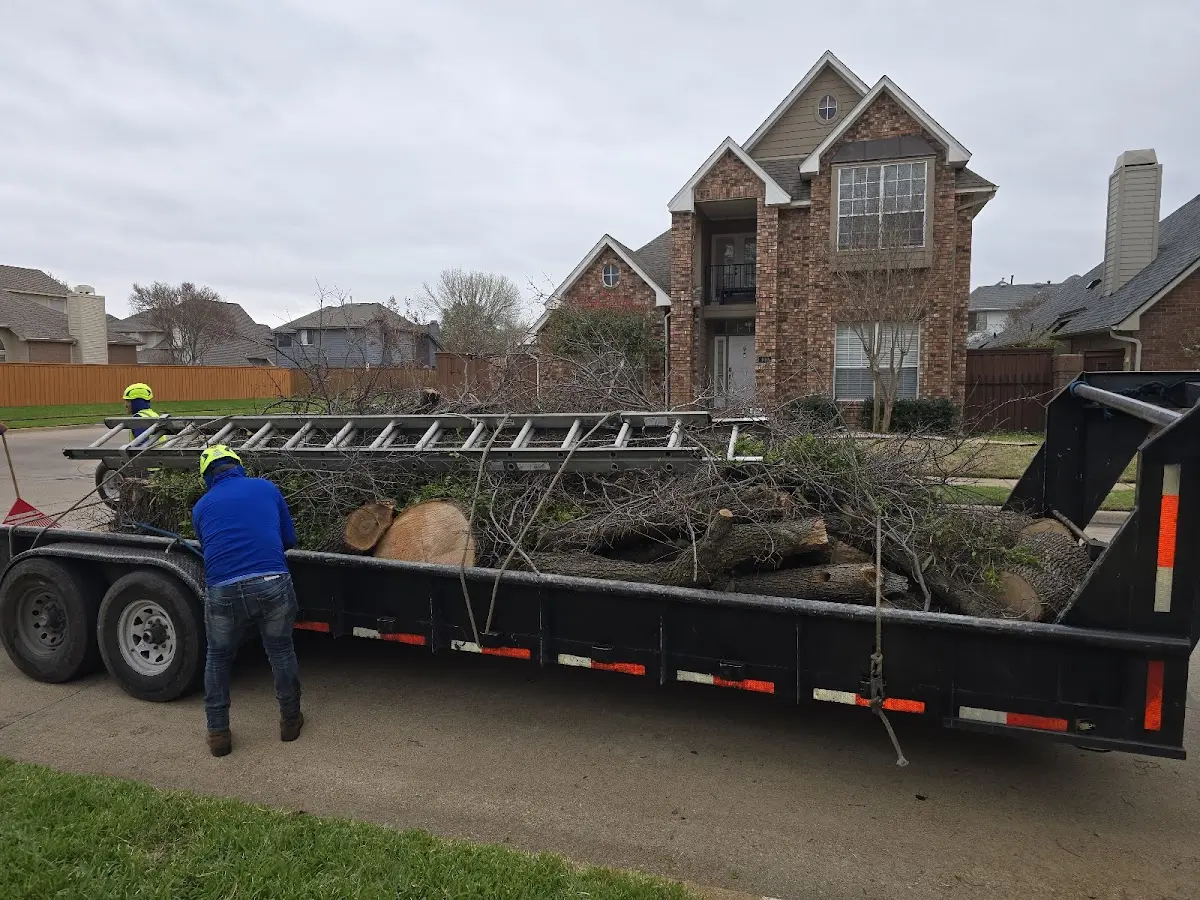 Expert Tree Fertilization with proper safety equipment in Blocksburg